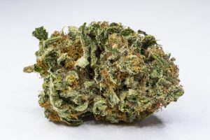 Bruce-Banner