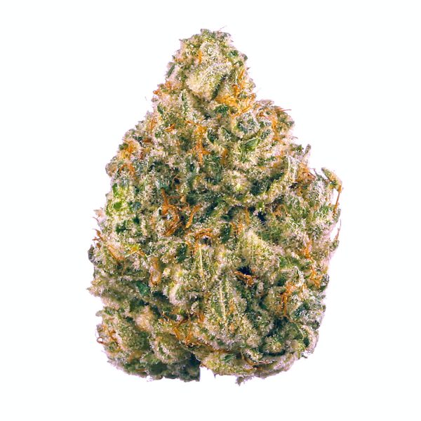AK47