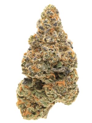 GIRLS SCOUT COOKIES
