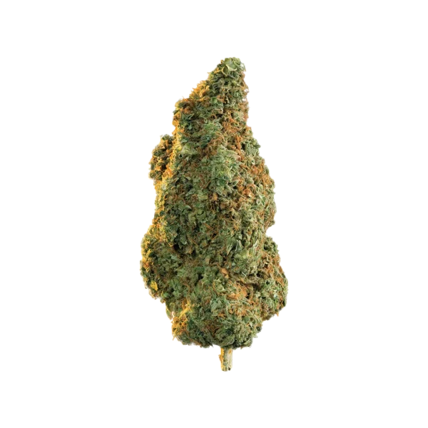 Northern Lights