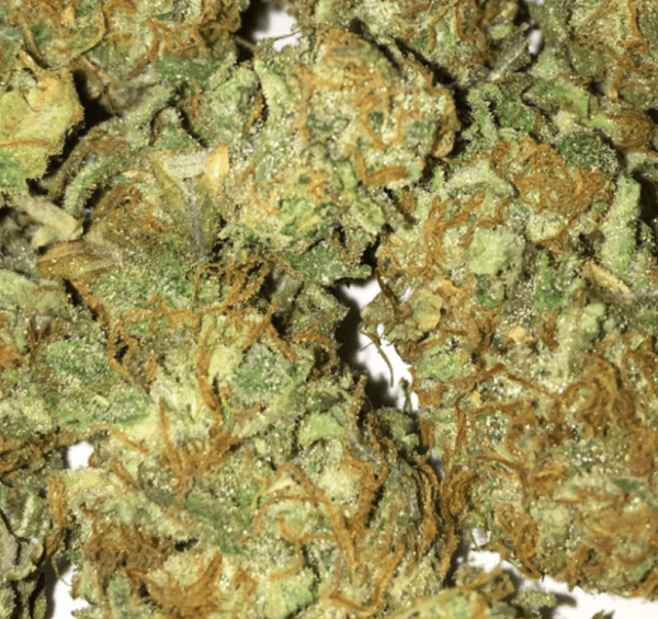 Mail Order Chemdawg Marijuana Strain