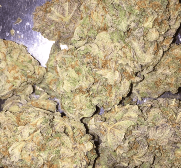 Mail Order Purple Trainwreck Marijuana Strain