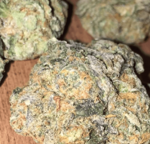 Mail Order Thin Mint GSC Marijuana Strain