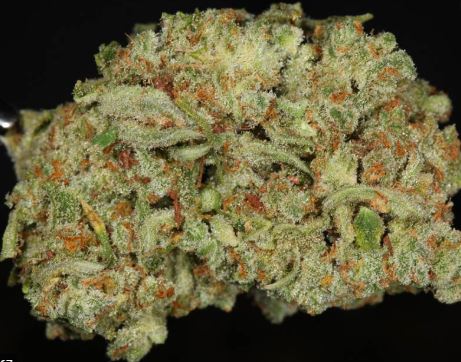 Mail Order TrainWreck Marijuana Strain