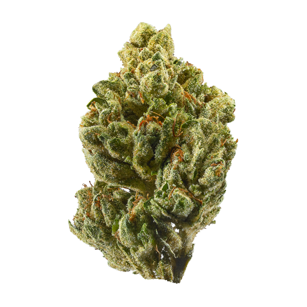 og-kush