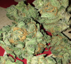 Order Blue Dream Marijuana Strain