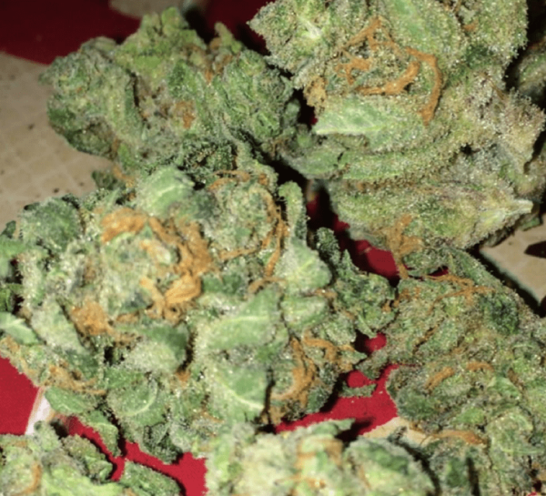Order Blue Dream Marijuana Strain