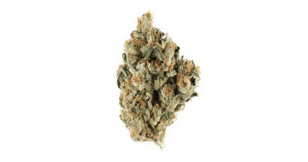 SKYWALKER