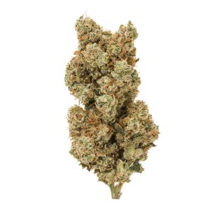 White Widow
